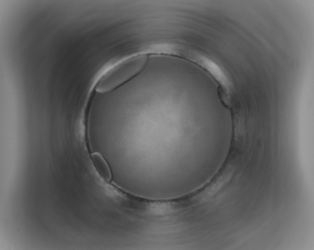 X0000111620944200907171241