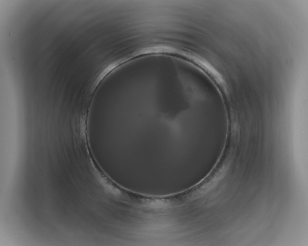 X0000111620945200907171241