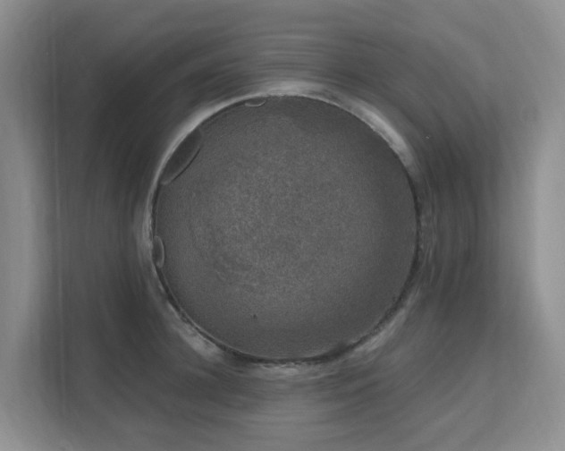 X0000111620948200907171241