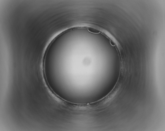 X0000111620951200907171241