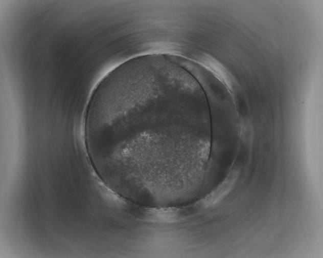 X0000111620952200907171241