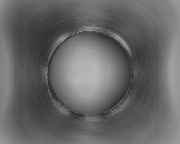 X0000111620954200907171241