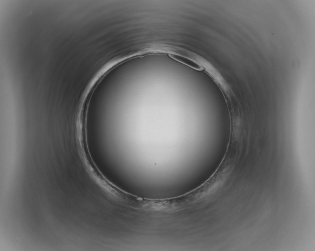 X0000111620955200907171241