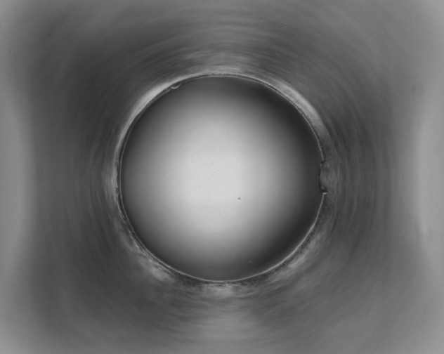X0000111620956200907171241