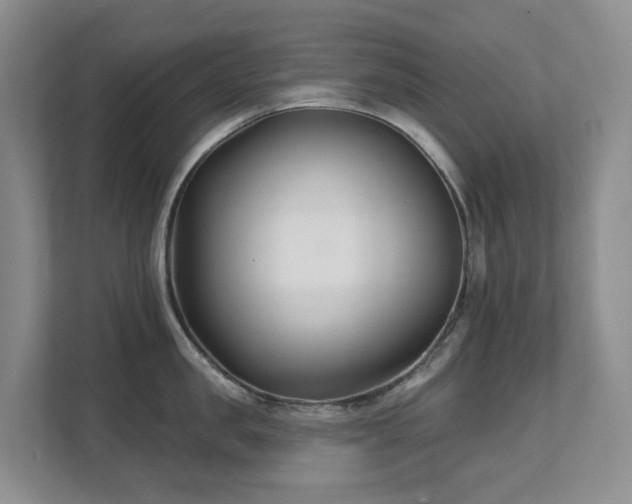 X0000111620957200907171241