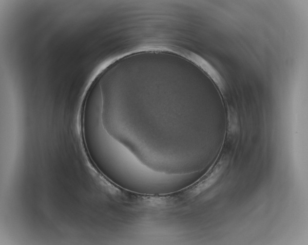 X0000111620958200907171241