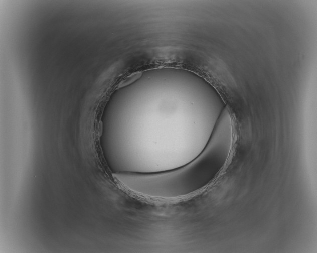 X0000111620961200907171241