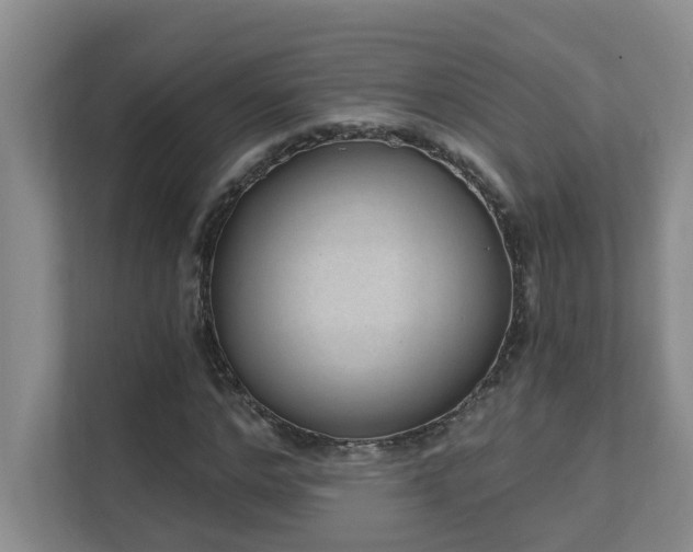 X0000111620968200907171241