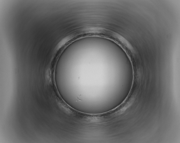 X0000111620970200907171241