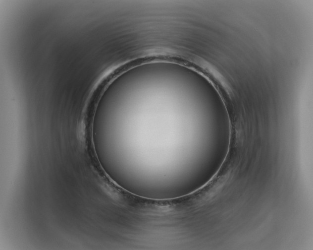 X0000111620975200907171241