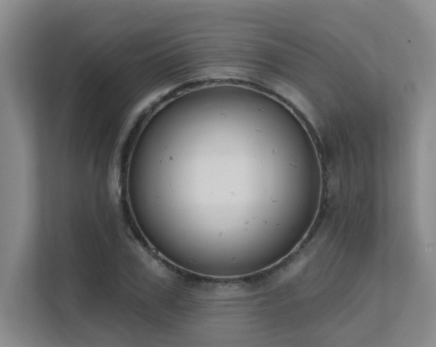 X0000111620979200907171241