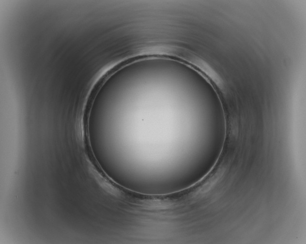 X0000111620980200907171241