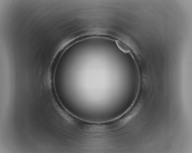 X0000111620981200907171240