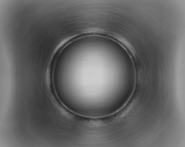 X0000111620983200907171240