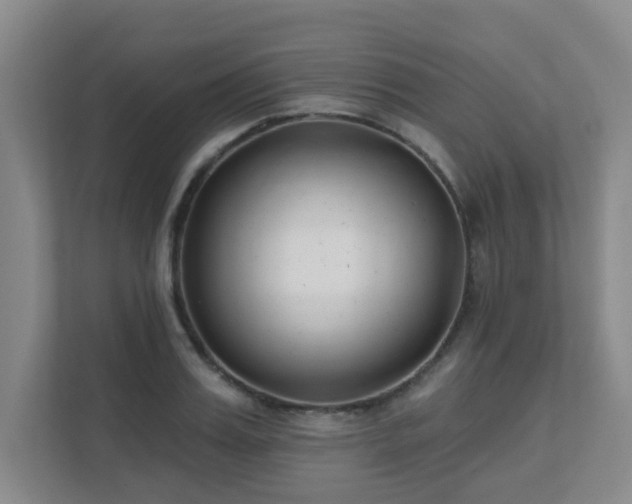 X0000111620987200907171240
