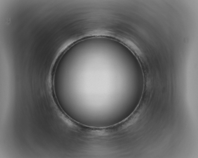 X0000111620990200907171240