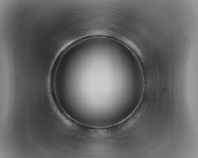 X0000111620991200907171240