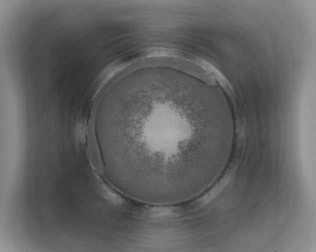X0000111620993200907171240