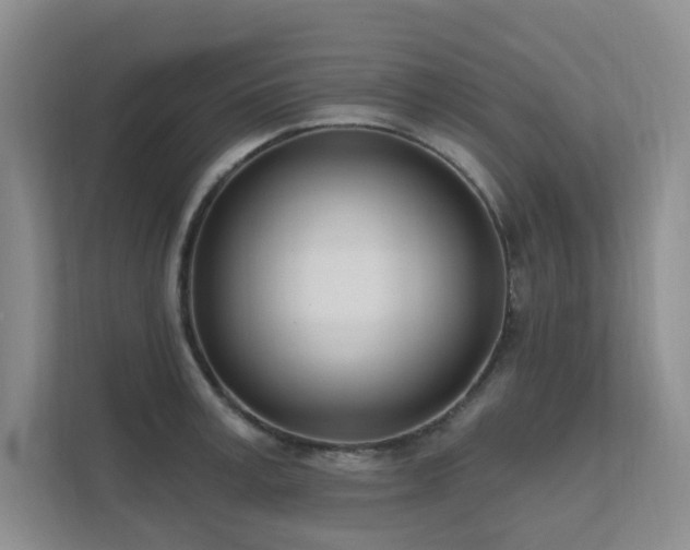 X0000111620995200907171240