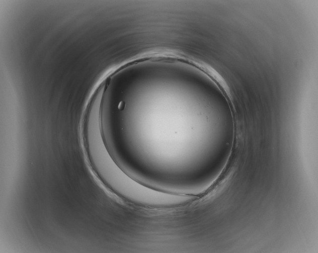 X0000111620997200907171240