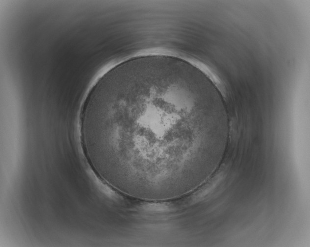 X0000111620998200907171240