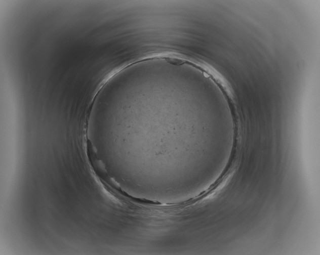 X0000111621001200907171240