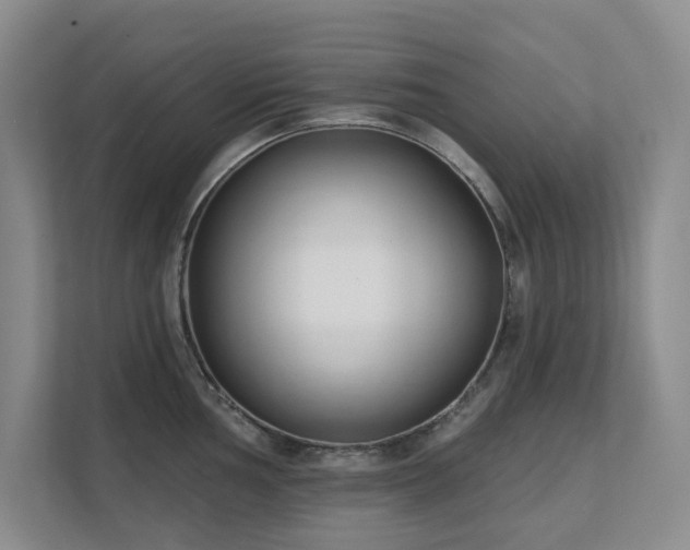 X0000111621002200907171240