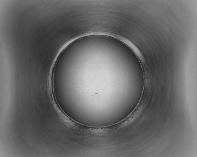 X0000111621004200907171240