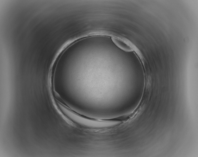 X0000111621005200907171240