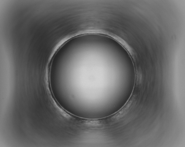 X0000111621006200907171240