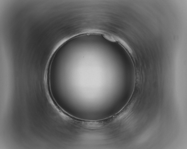 X0000111621007200907171240