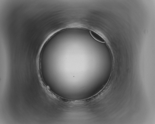 X0000111621008200907171240