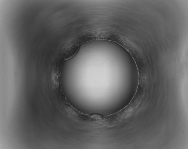 X0000111621010200907171240