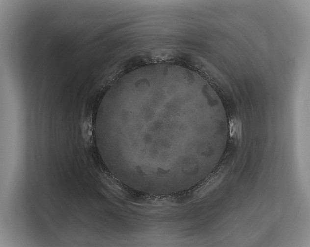 X0000111621011200907171240