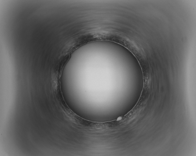 X0000111621012200907171240