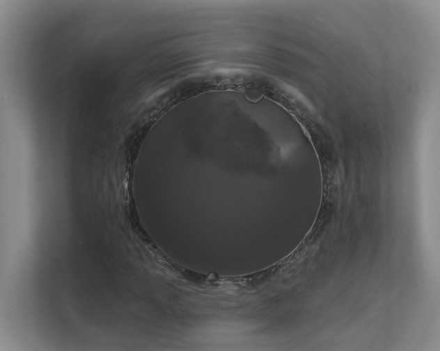 X0000111621013200907171240