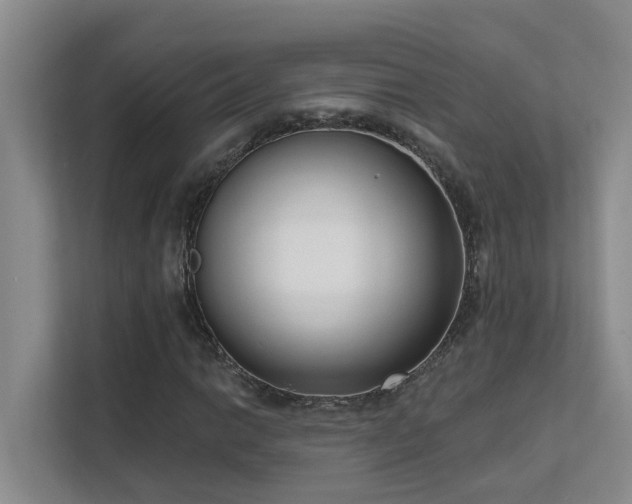 X0000111621014200907171240