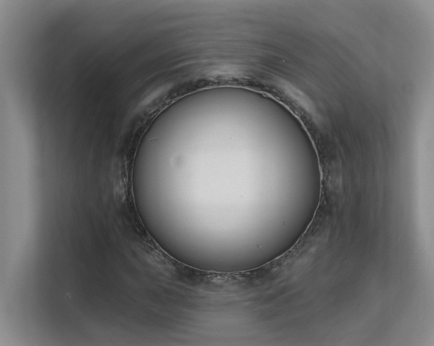 X0000111621015200907171240