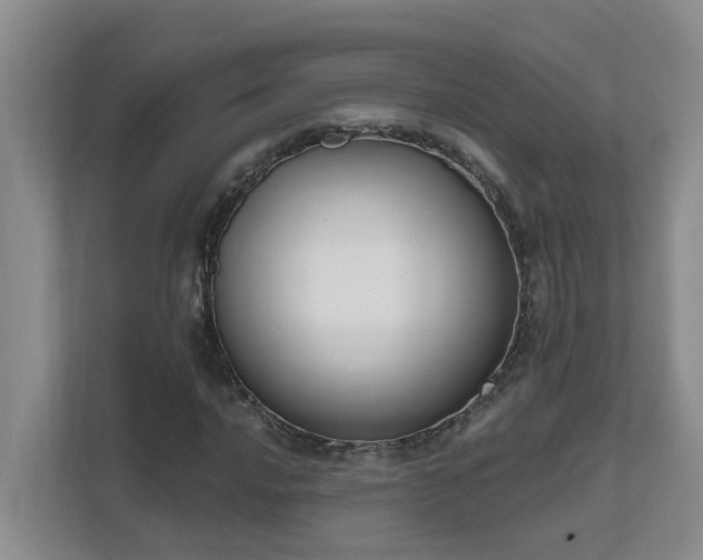 X0000111621016200907171240