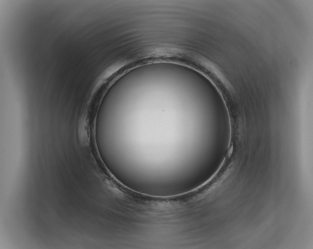X0000111621018200907171240