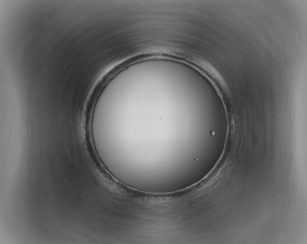 X0000111621020200907171240