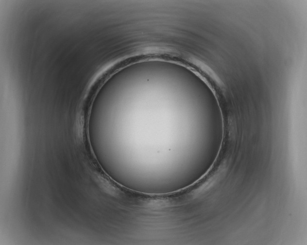 X0000111621021200907171240