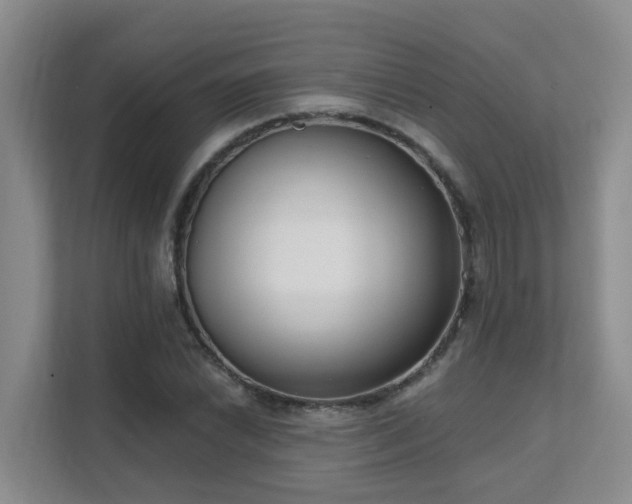 X0000111621022200907171240