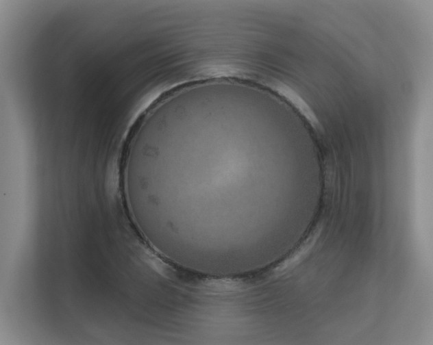 X0000111621023200907171240