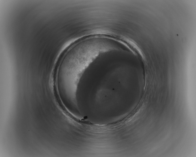 X0000111621024200907171240