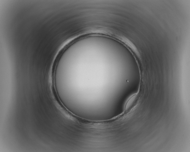 X0000111621028200907171240