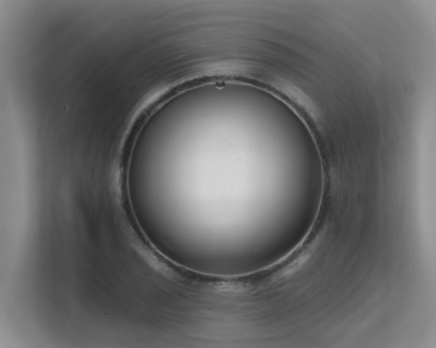 X0000111621029200907171240