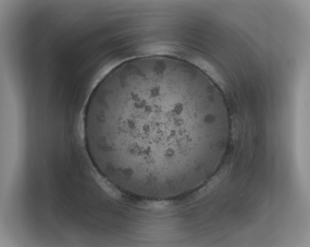 X0000111621031200907171240