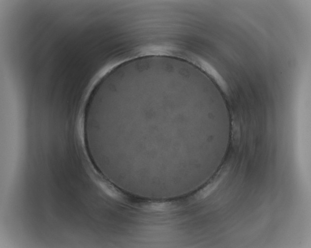 X0000111621035200907171240