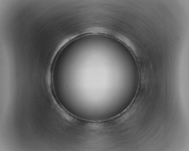 X0000111621040200907171240
